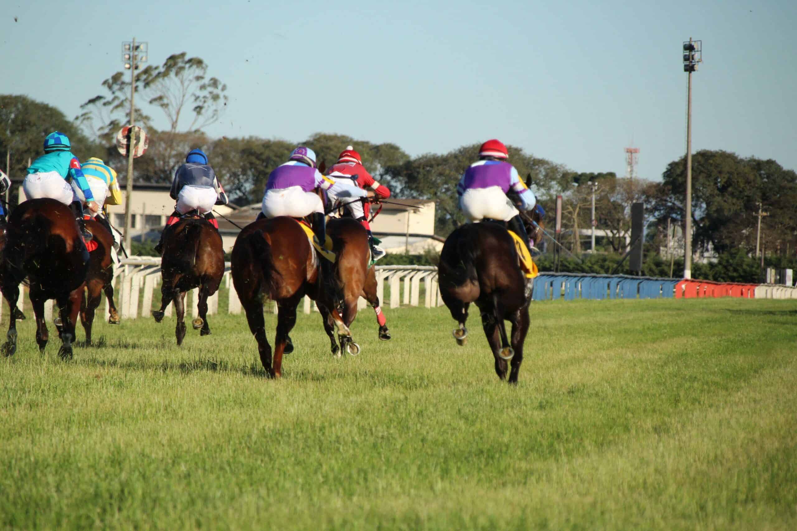 Where does the Sport of Kings fit into the Brazilian market?