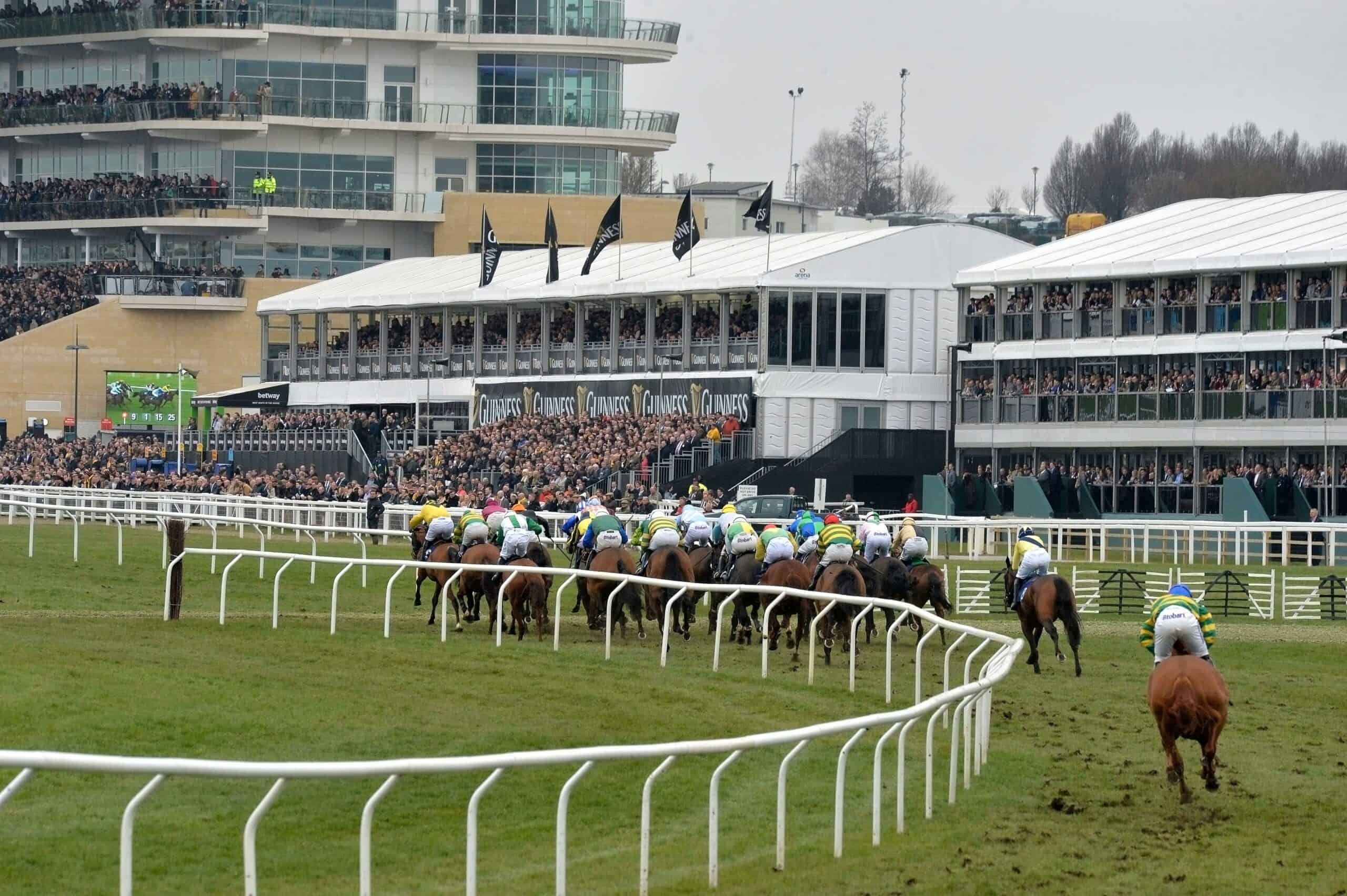 Racecourse and Sponsors