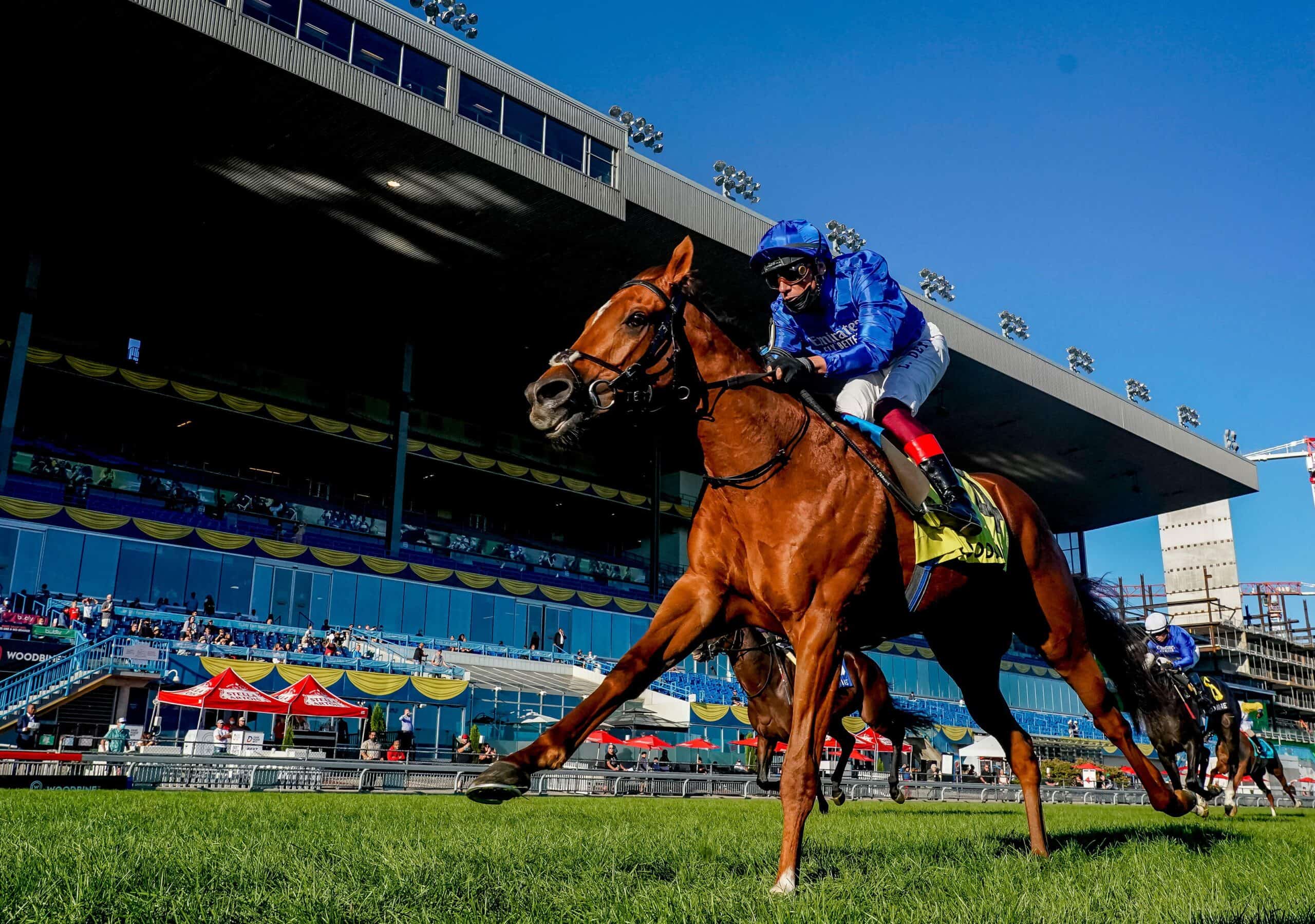 Pulse – Sports & Racing Data